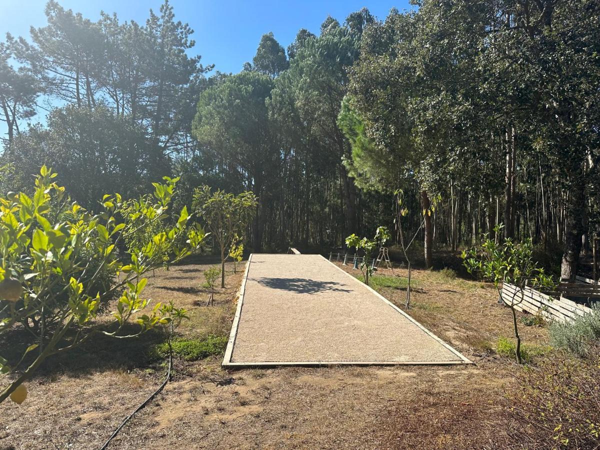 萨利蒂马托斯Quinta Da Sobreira住宿加早餐旅馆 外观 照片